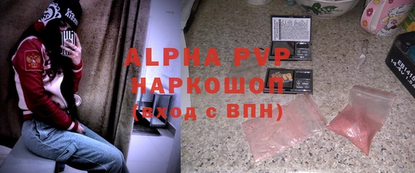МДПВ Каменногорск