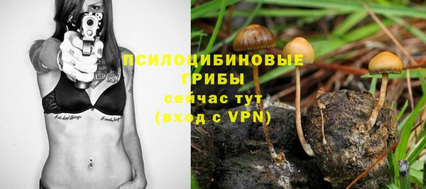 МДПВ Каменногорск