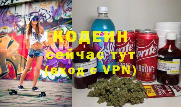 МДПВ Каменногорск