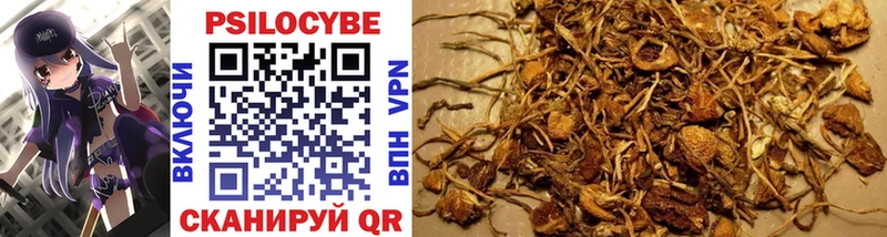 Псилоцибиновые грибы Psilocybine cubensis  Купить  Белая Калитва 